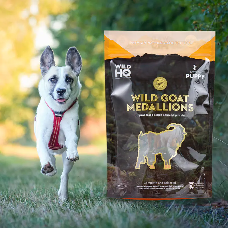 Túi cà phê túi thấp in kỹ thuật số thân thiện với môi trường đầy màu sắc